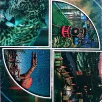 کارت دهکده تفریحی گهرپارک سیرجان