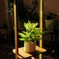 پایه گلدان، جعبه گلدان، استند گلد، جعبه هدیه