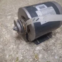 دینام الکتروژن