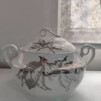 سرویس چینی تمیز و زیبا