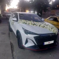 اجاره  خودرو