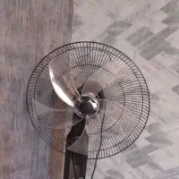 پنکه