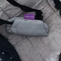 کالسکه مدل دلیجان