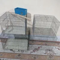 قفس پرنده