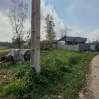 زمین جنگلی با نامه بنیاد مسکن|فروش زمین و ملک کلنگی|رشت, بازار|دیوار