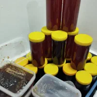 عسل وحشی گون|خوردنی و آشامیدنی|ری, هاشم‌آباد|دیوار