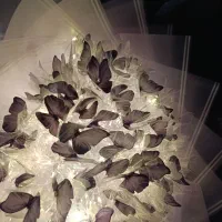 گل پروانه ای|گل مصنوعی|شاهین‌شهر, شهرک میلاد|دیوار