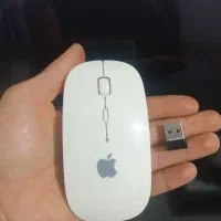 موس بی سیم فلشی مارک اپل|قطعات و لوازم جانبی رایانه|اردبیل, |دیوار