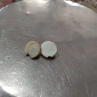 موهرماراصلی فقط برای عشق و محبت و.|بدلیجات|کاشمر, |دیوار