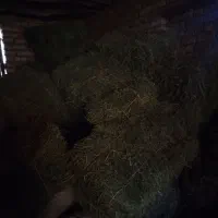 فروش پرس یونجه|لوازم جانبی حیوانات|بلداجی, |دیوار