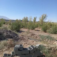 زمین کشاورزی ۵۰۰۰متر محمدیه با یک ساعت آب