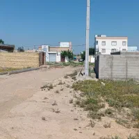 250مترزمین سنددار