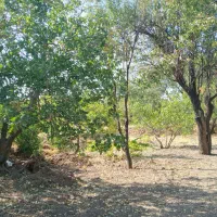 باغ سنتی فروشی