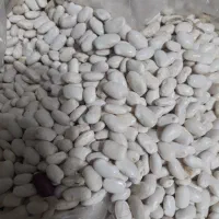 لوبیا سفید فریدن