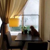 آباژور ایستاده ایکیا|چراغ خواب و آباژور|تهران, اباذر|دیوار