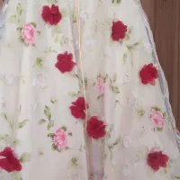 لباس مجلسی (نامزدی )