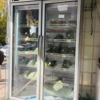 یخچال ایستاده دو درب