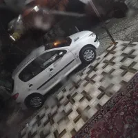 ۲۰۶ تیپ ۲ درحد