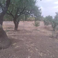 فروش زمین ۵۳۵ م محدود پل زمانخان|فروش زمین و ملک کلنگی|مبارکه, |دیوار