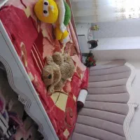 سرویس خواب ،مبل کلاسیک ، سرویس غذا خوری ،اجاق گاز|مبلمان خانگی و میز عسلی|همدان, |دیوار