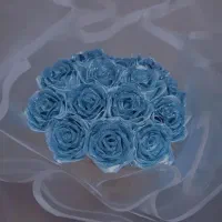 گل روبانی