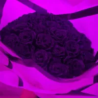 دسته گل روبانی|گل مصنوعی|ارومیه, |دیوار