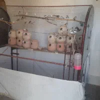 قفس بزرگ و ۱۳ جفت فنج بالغ