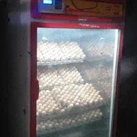 دستگاه جوجه کشی صنعتی