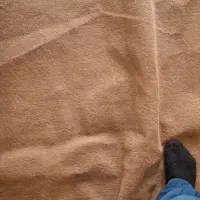 فروش موکت به متراژ 18 متر|موکت|میاندوآب, |دیوار