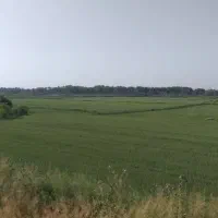 فروش-زمین-مسکونی-تفکیکی-در-چهل-پله-دوست-کندی