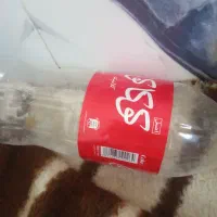 دبه یک‌ونیم ونان خشک