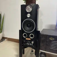 ۲ عدد باند سالم