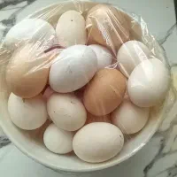 تخم مرغ خانگی بومی