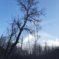 دعا سرکتاب استخاره جواب نگرفتی بیاریش سیدبابا