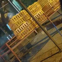 خواهان مغازه مرغ فروشی