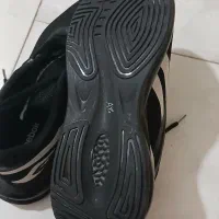 کتونی طرح ریبوک|کیف، کفش، کمربند|بابل, |دیوار