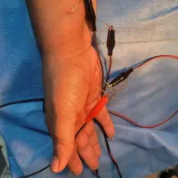 کلینیک فیزیوتراپی مهرآرا|خدمات آرایشگری و زیبایی|تهران, صادقیه|دیوار