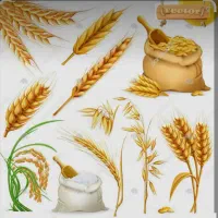 خرید گندم وجو به نرخ روز خریداریم بصورت نقدی