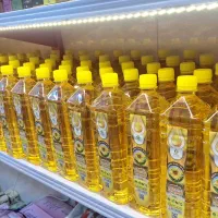 پخش روغن کیفیت تضمینی
