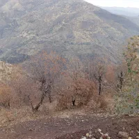 زمین برای اجاره میخوام