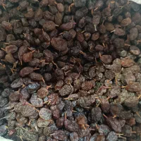 کشمش درجه یک آفتابی|خوردنی و آشامیدنی|بوشهر, |دیوار