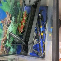 فروش یک عدد آکواریوم|ماهی|میناب, |دیوار