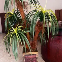 درختچه مصنوعی و گل