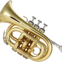 ترومپت مینی Pocket Trumpet