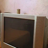 تلویزیون
