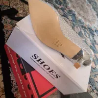 کفش مجلسی|کیف، کفش، کمربند|ری, علایین|دیوار