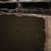 سبزیجات نیشابور