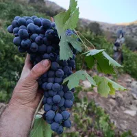 فروشی|حراج|رشت, آب و برق|دیوار