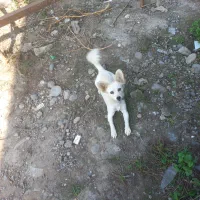 یه دختر شاد و زیبا و شیطون وفوق العاده تودلبرو