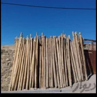 چ وب درآمده اسقف خریداریم سالم وپوسیده|خدمات باغبانی و درختکاری|قیدار, |دیوار